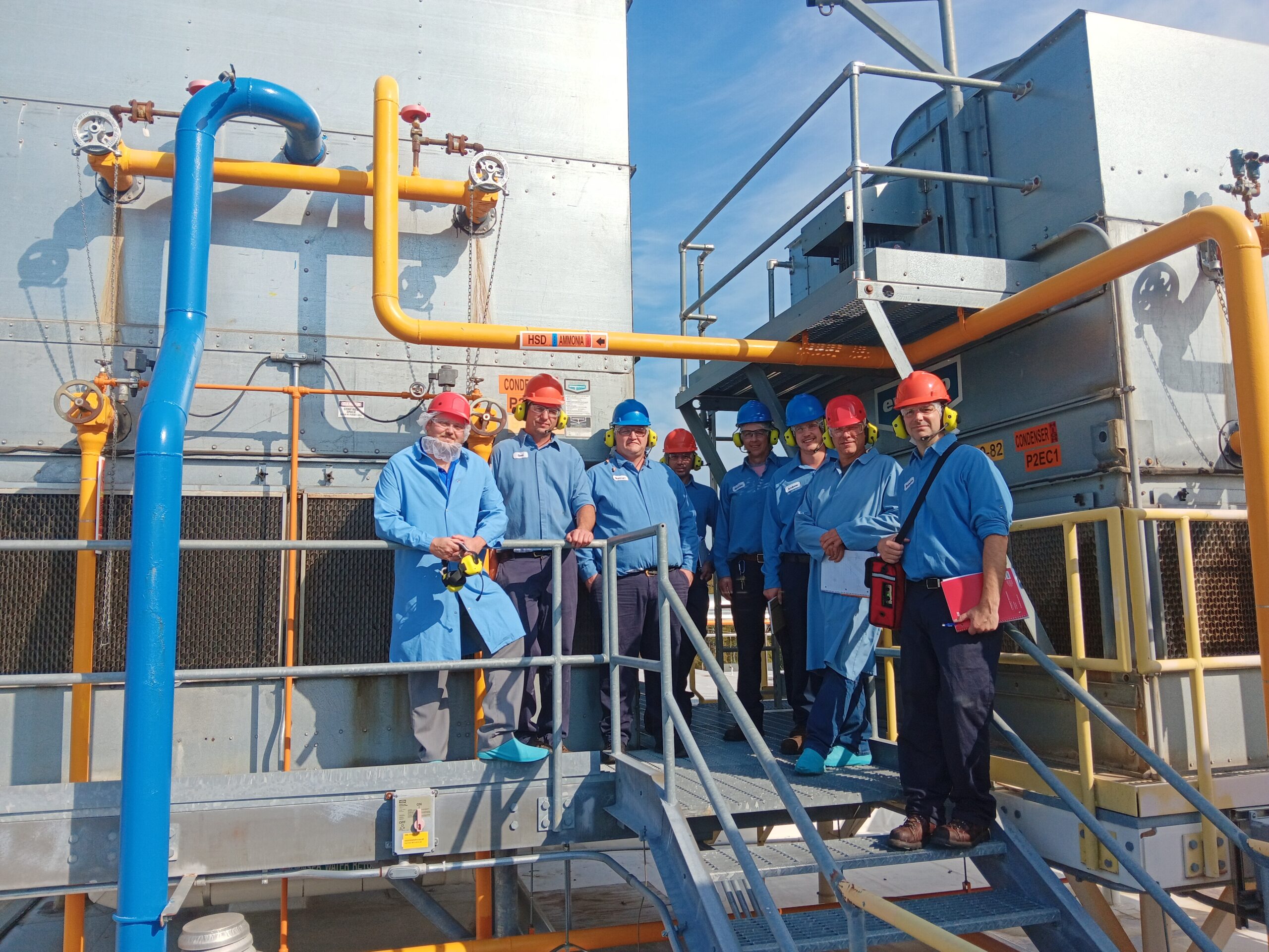 A group of people standing on top of stairs.
